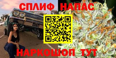 МДПВ Обнинск