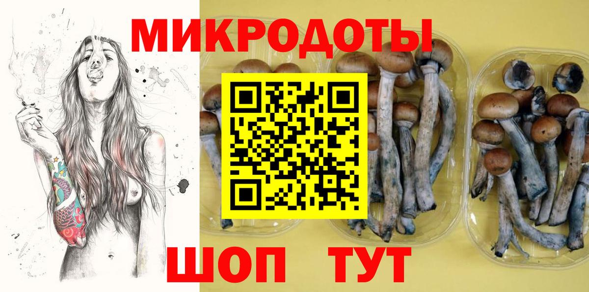 Галлюциногенные грибы Magic Shrooms  наркота  Вход с VPN  Холмск  Псилоцибиновые грибы Magic Shrooms 